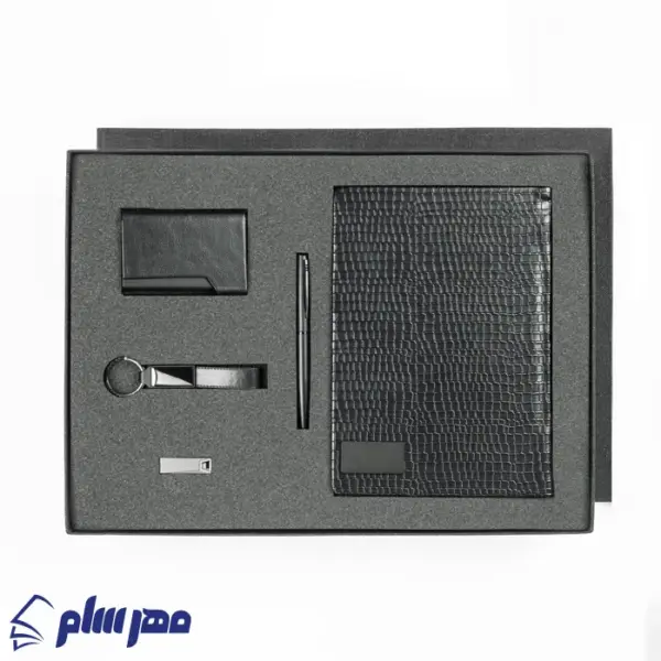 ست مدیریتی رایان SE-1012 مشکی مات