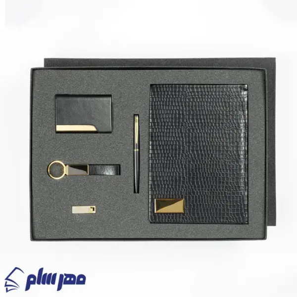 ست مدیریتی رایان SE-1011 مشکی طلایی